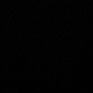 Meet your Posher, Irving